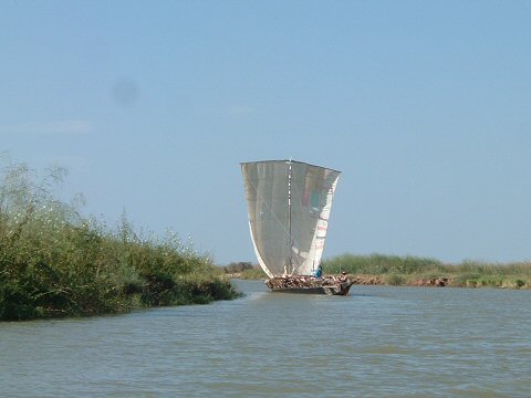 Pinnace à la voile
